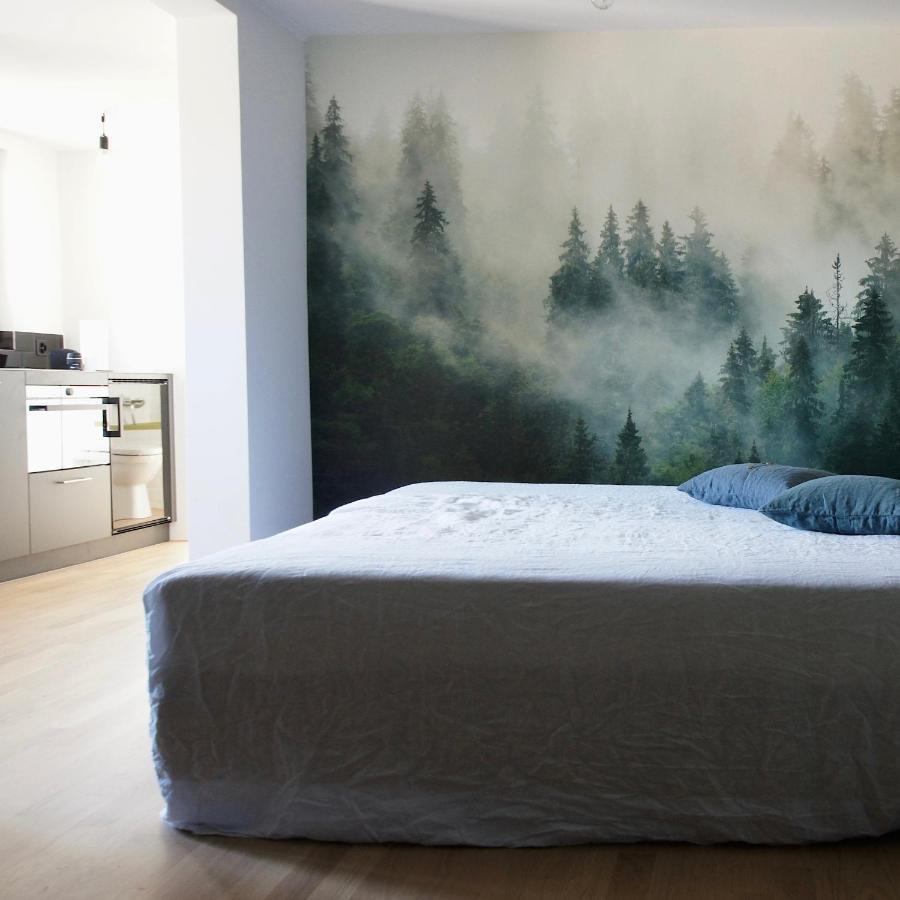 Ni Fravi Holiday Apartments, Interlaken West Zewnętrze zdjęcie